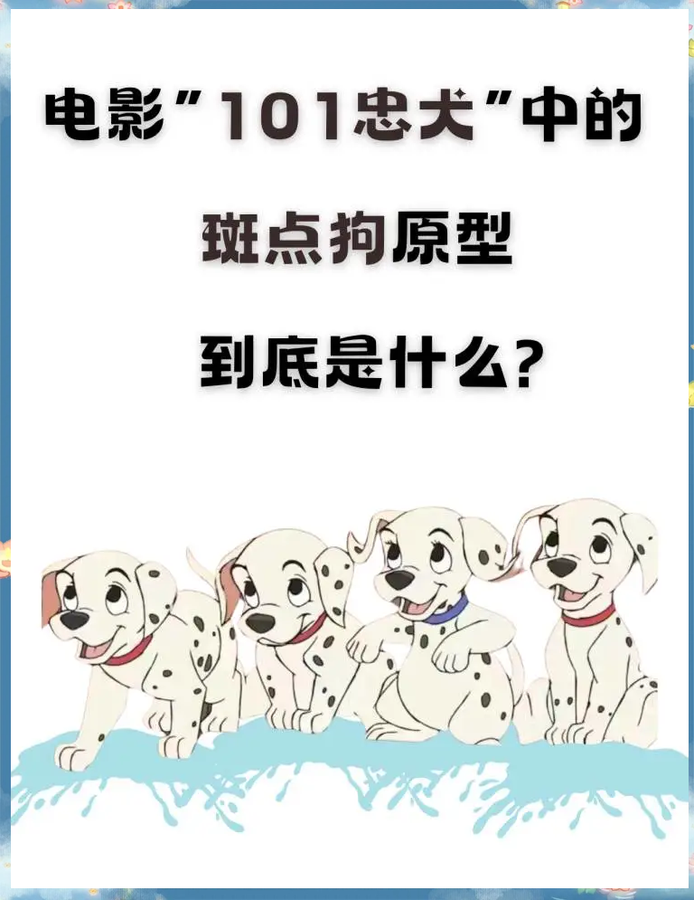 大麦町犬为什么禁养图片