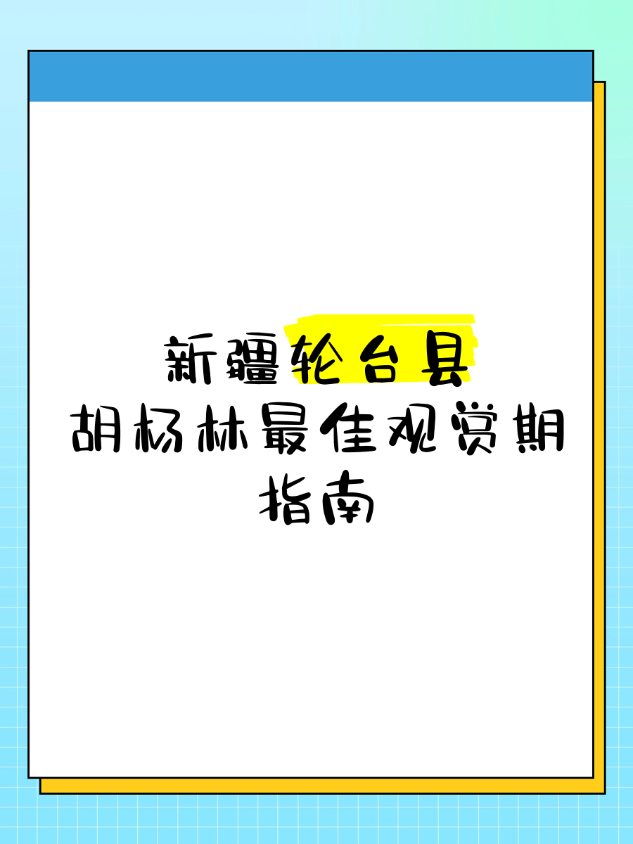 新疆轮台县简介图片