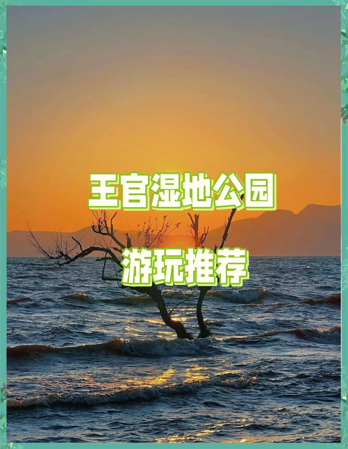 王官湿地公园好不好玩图片