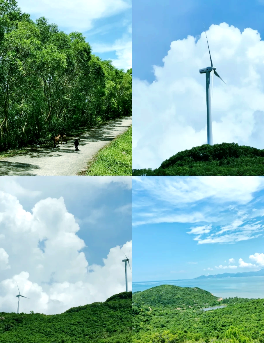 海龙湾风车山门票图片