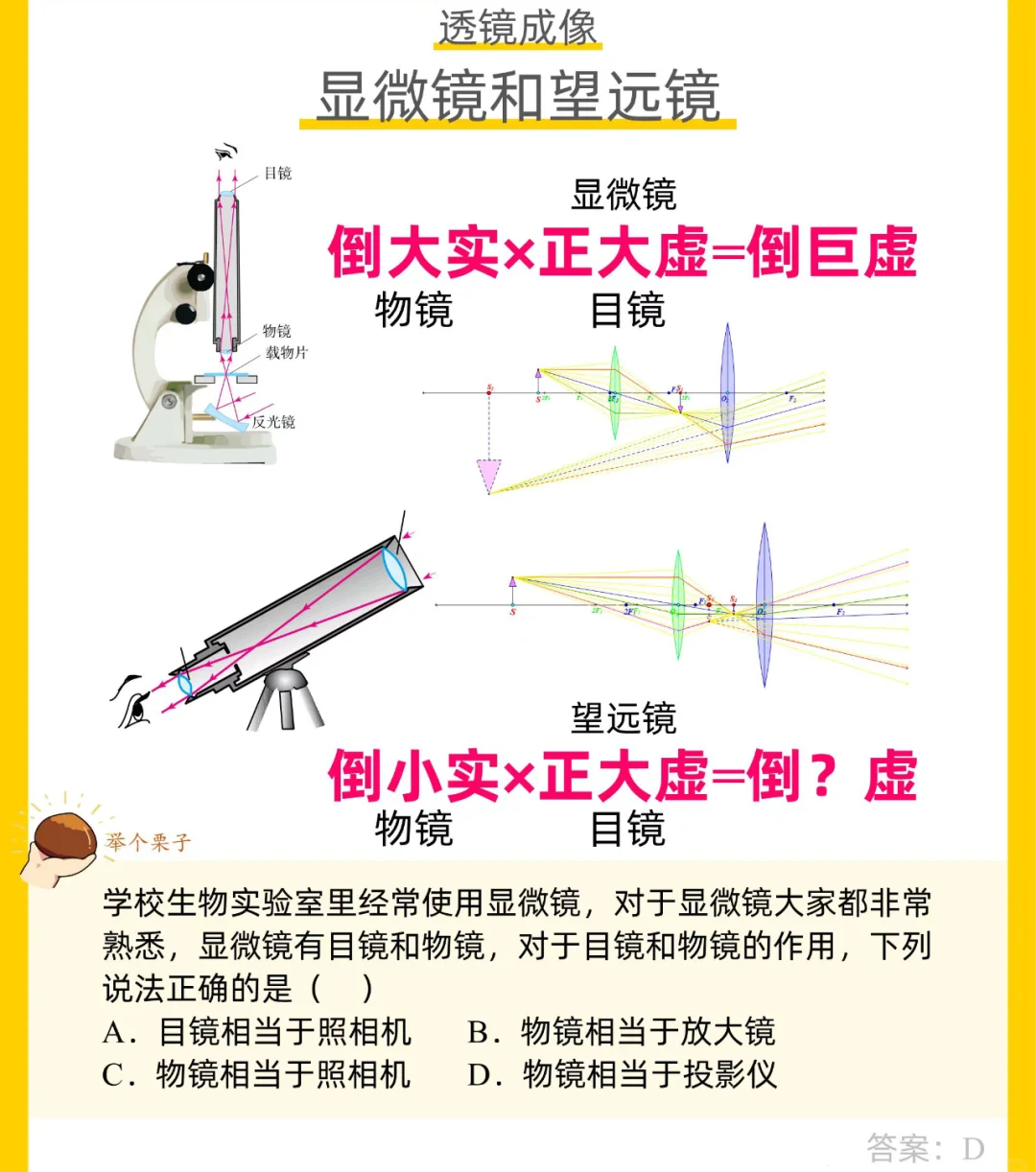 显微镜物镜原理图片