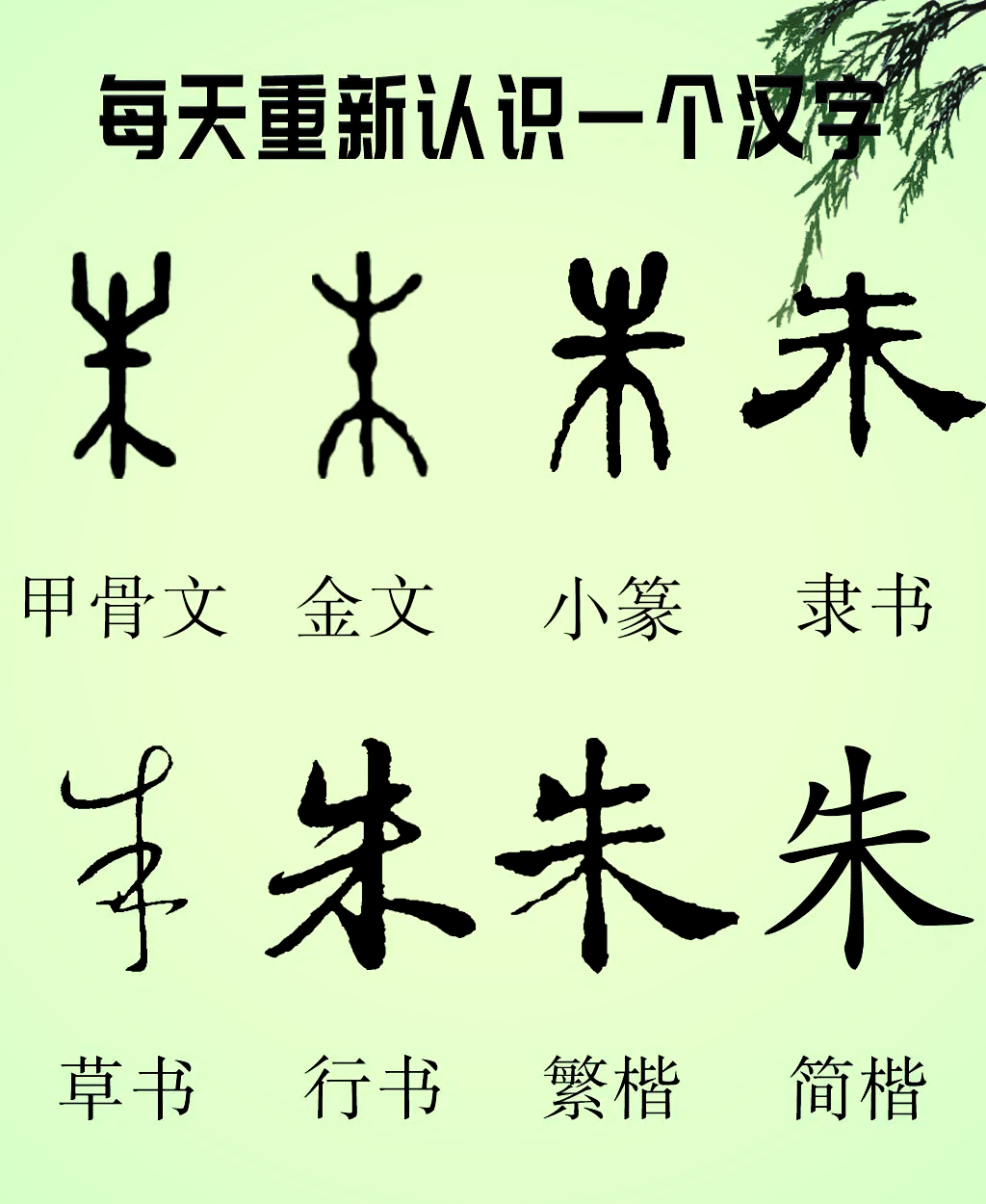 🔍探索朱字的奥秘