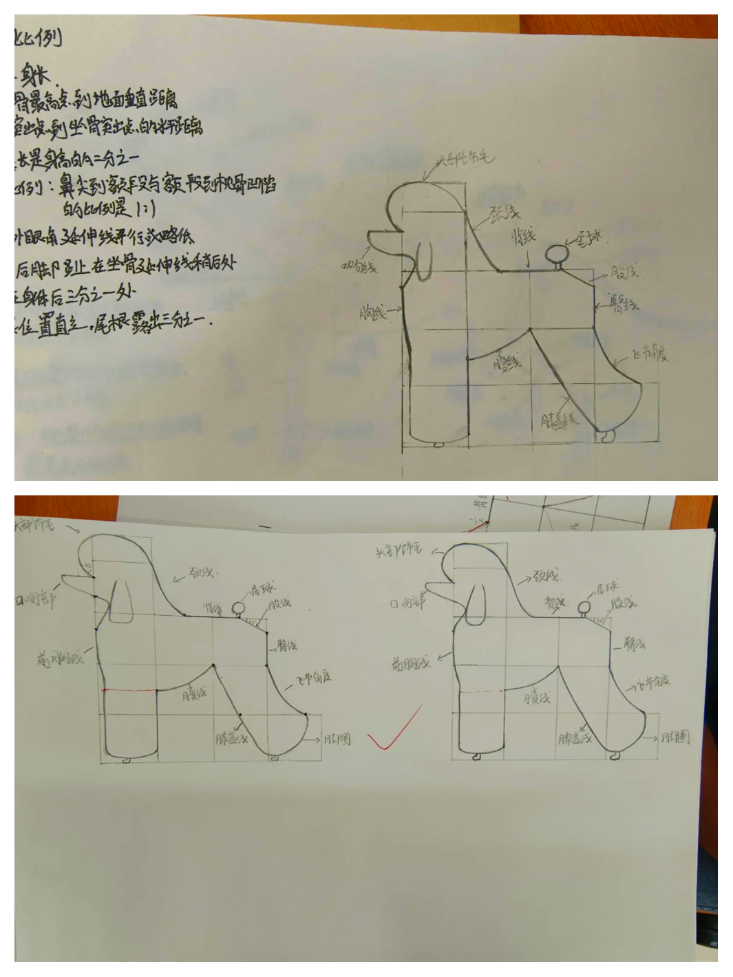 宠物美容师画图教程图片