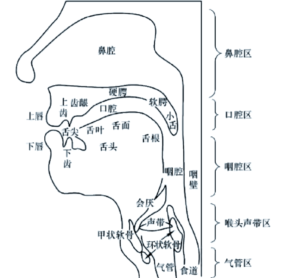 声呐示意图图片