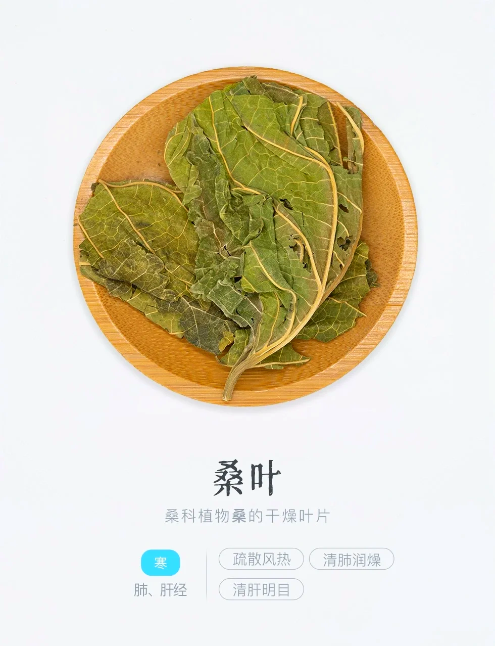 桑叶芽 功效图片