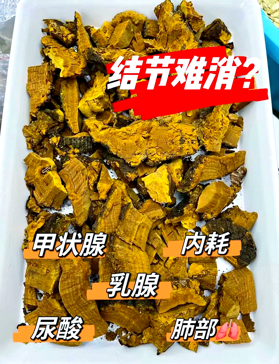 桑黄的食用方法图片