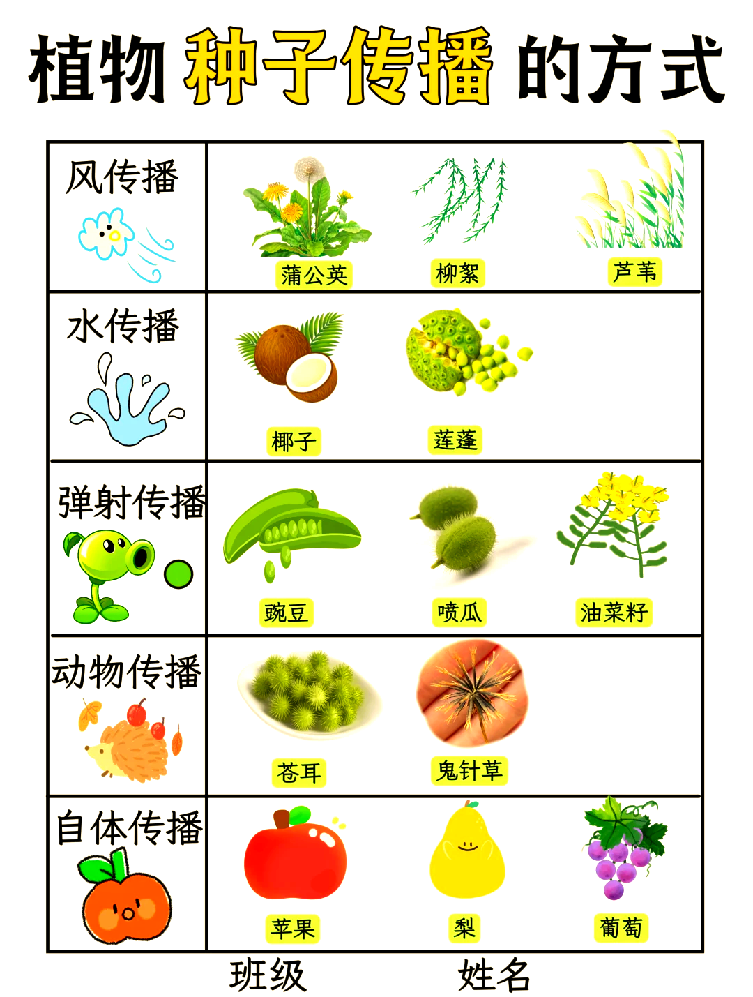 人类传播种子图片