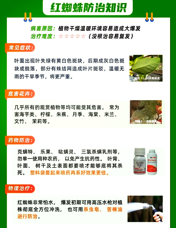 植物病害四要素图片