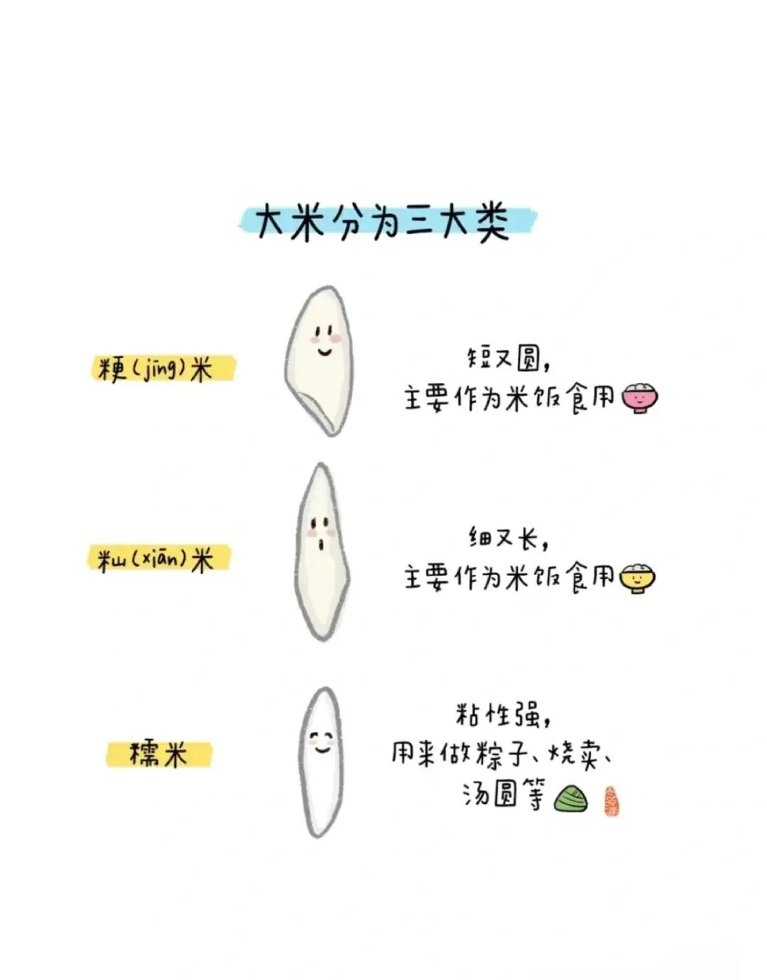 吉农大771水稻品种简介图片