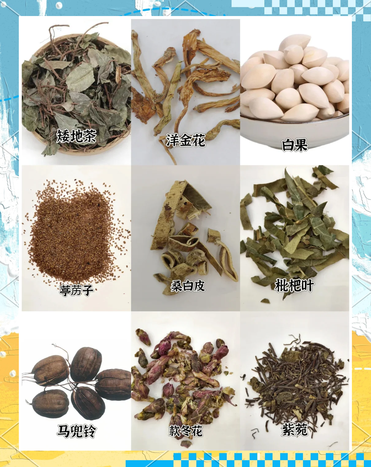 治咳嗽 个小偏方 草药相关图片1