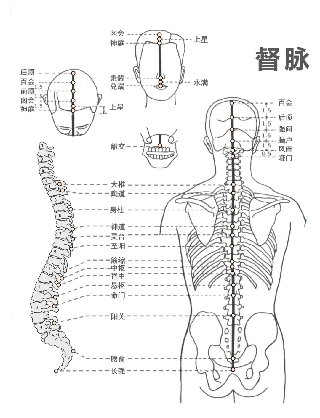 任督二脉图放大图片