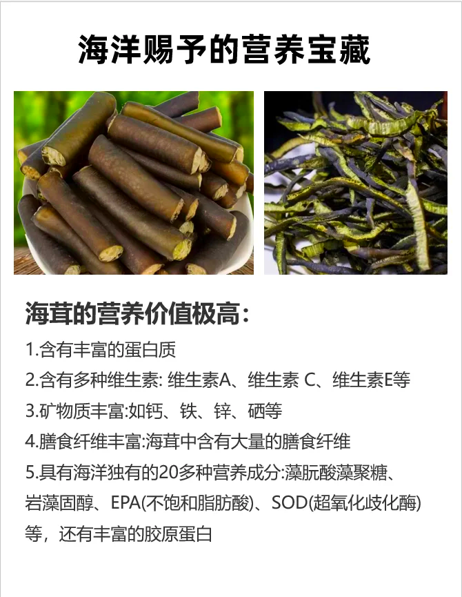 海宝菌的作用图片