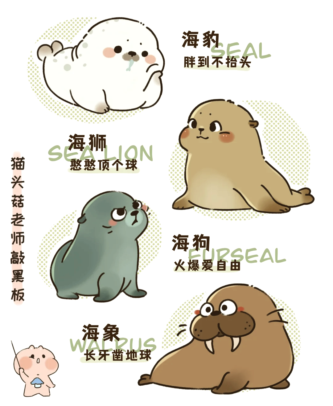 seal海豹简笔画图片