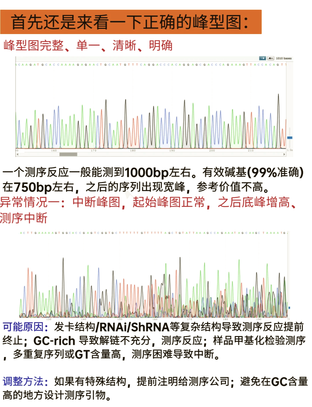 DNA测序峰图图片