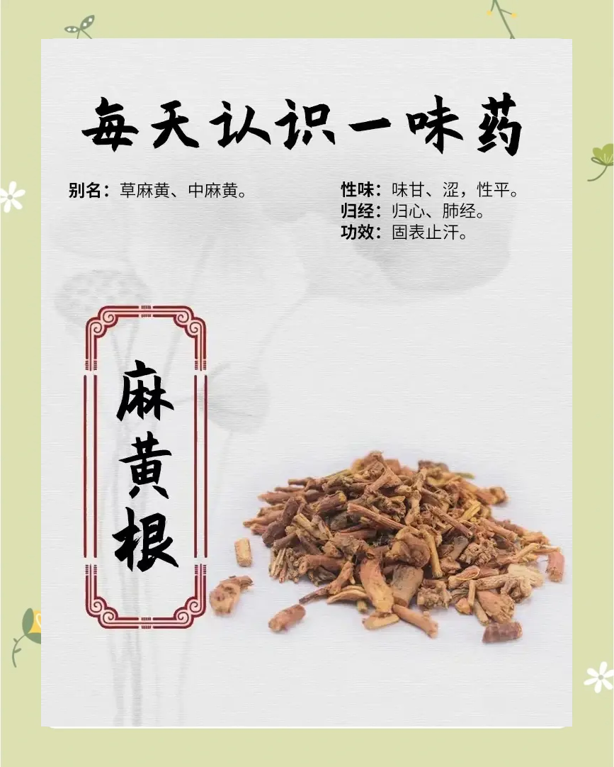 麻黄根浮小麦止汗用量图片