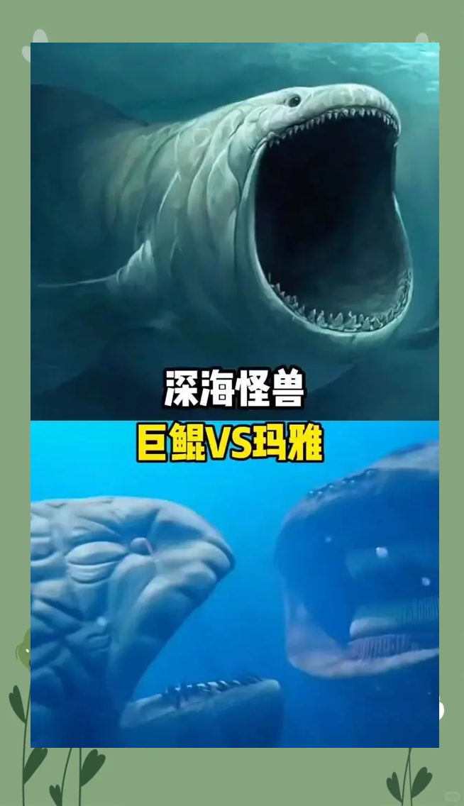 大海螺怪兽图片