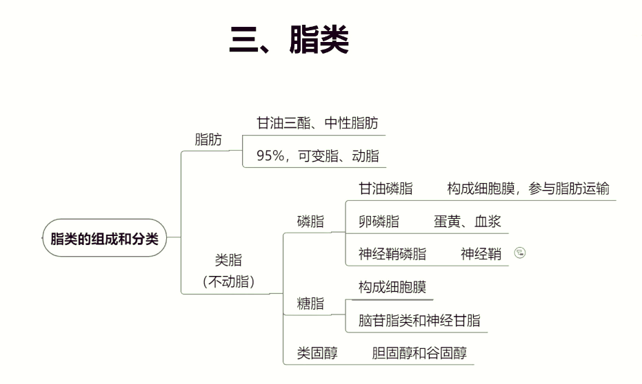 饮食健康思维导图简单图片