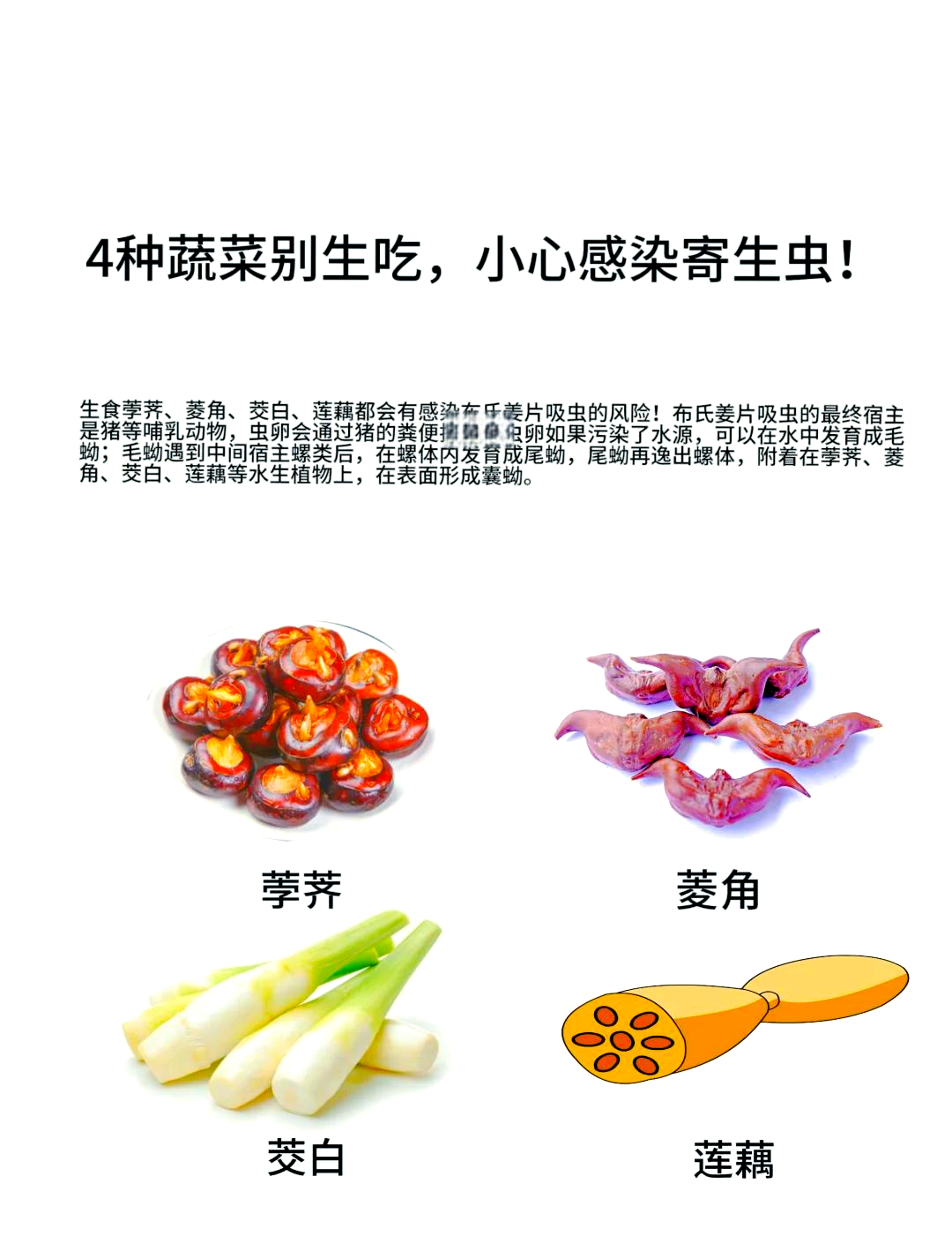 菱角 寄生虫图片