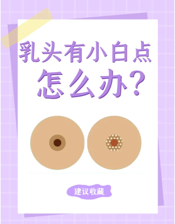 菌状乳头位置图片