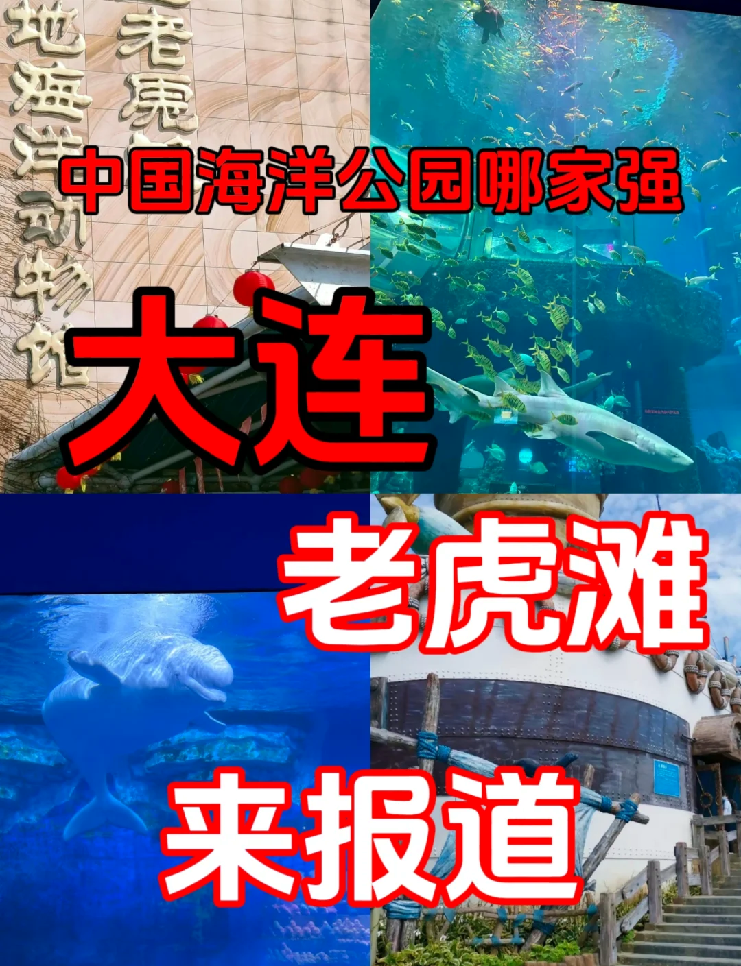 老虎滩海底隧道图片