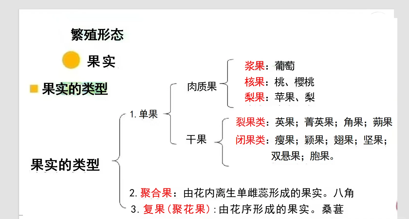 聚合果名词解释图片