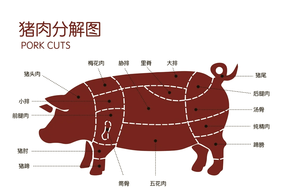 背柳肉和里脊肉图片图片