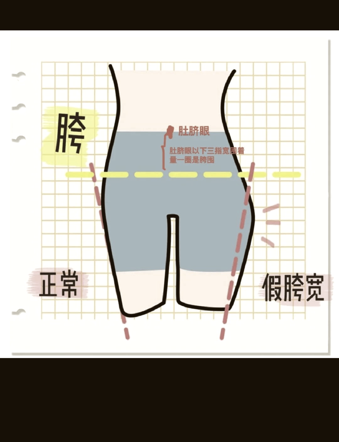 臀围是哪个位置图片