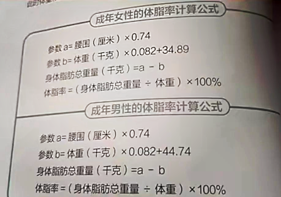 体脂率公式计算图片