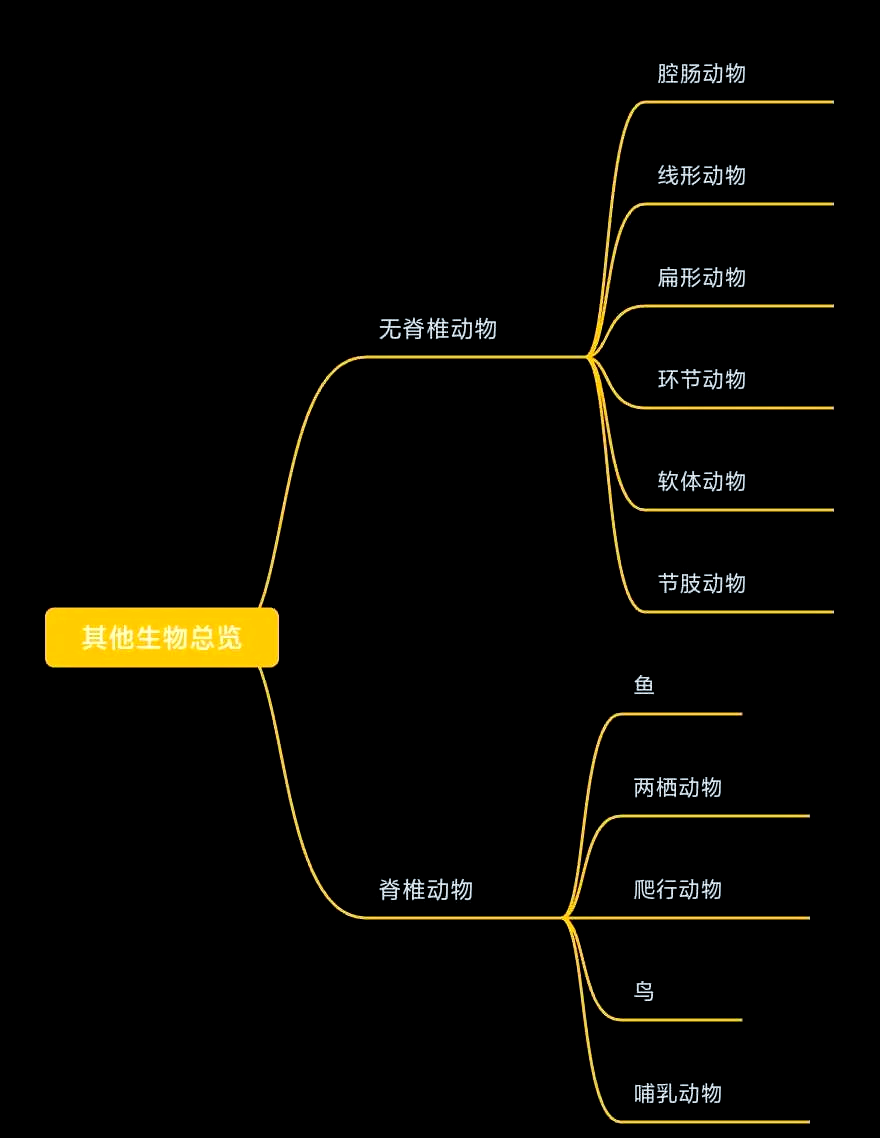 七上脊椎动物思维导图图片