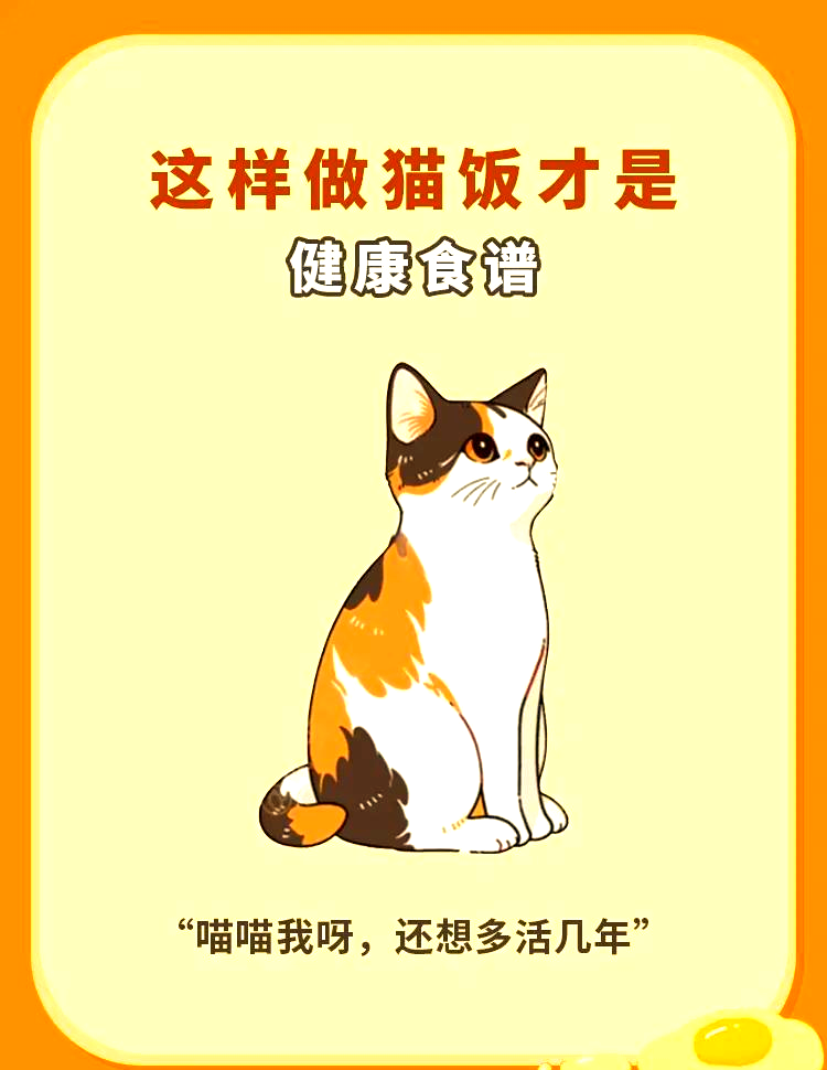 小猫做法图片