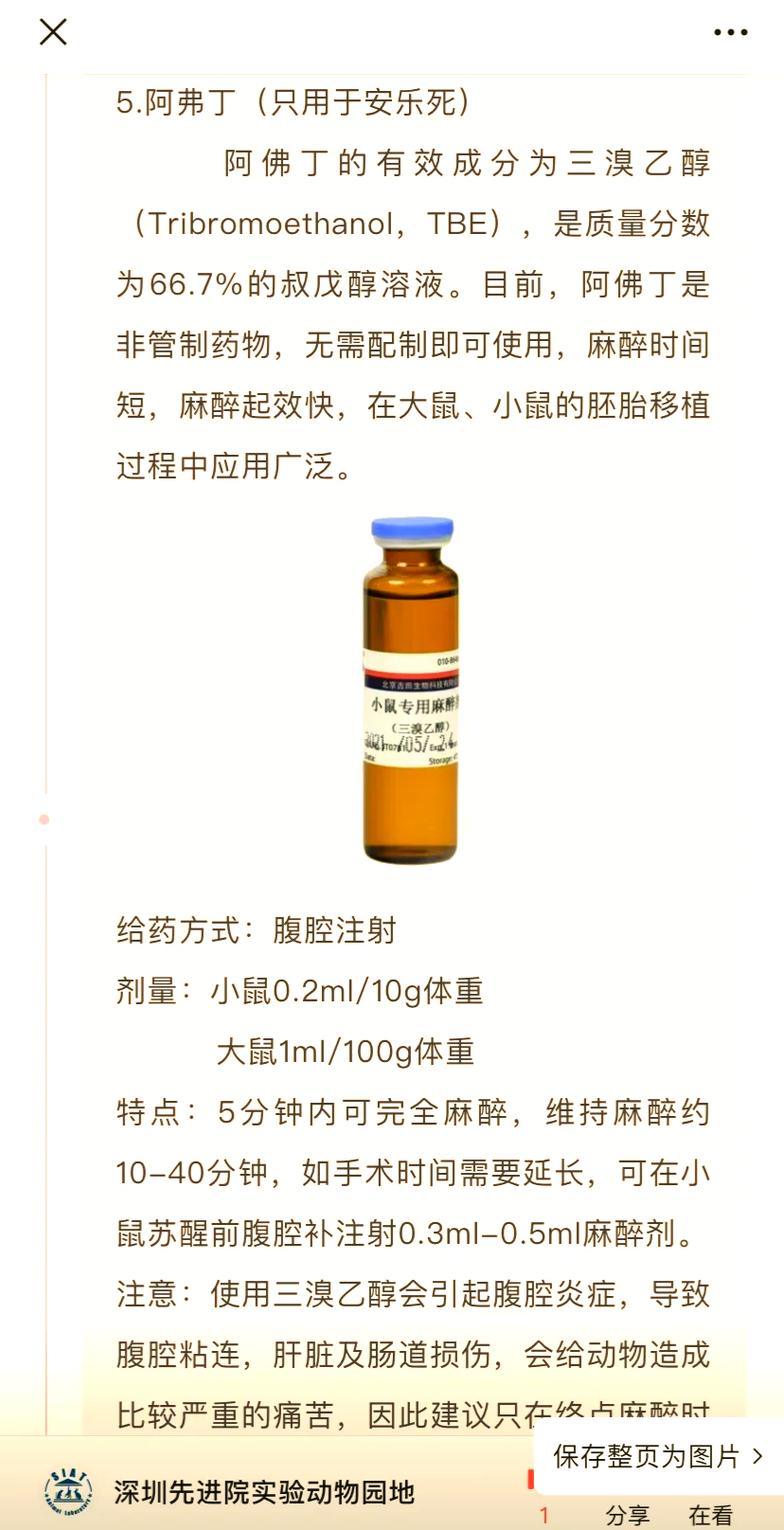 3%戊巴比妥钠麻醉小鼠图片