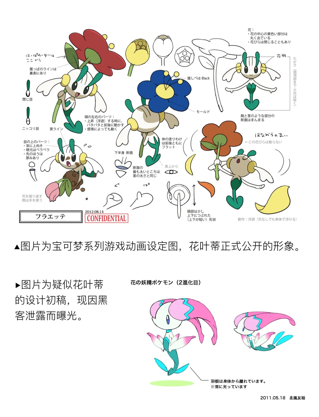 花叶蒂进化图片