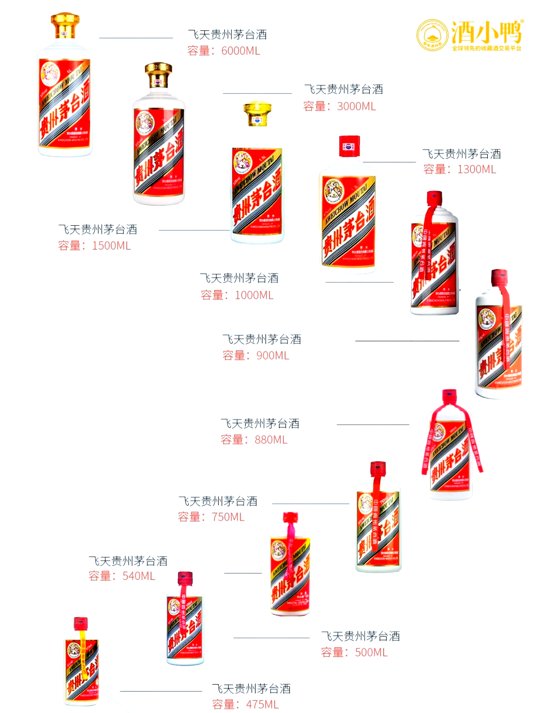 茅台全家福和飞天茅台图片