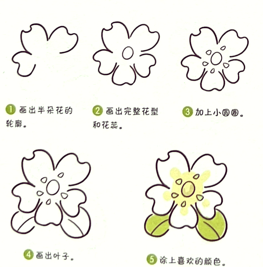 94茉莉花简笔画教程96