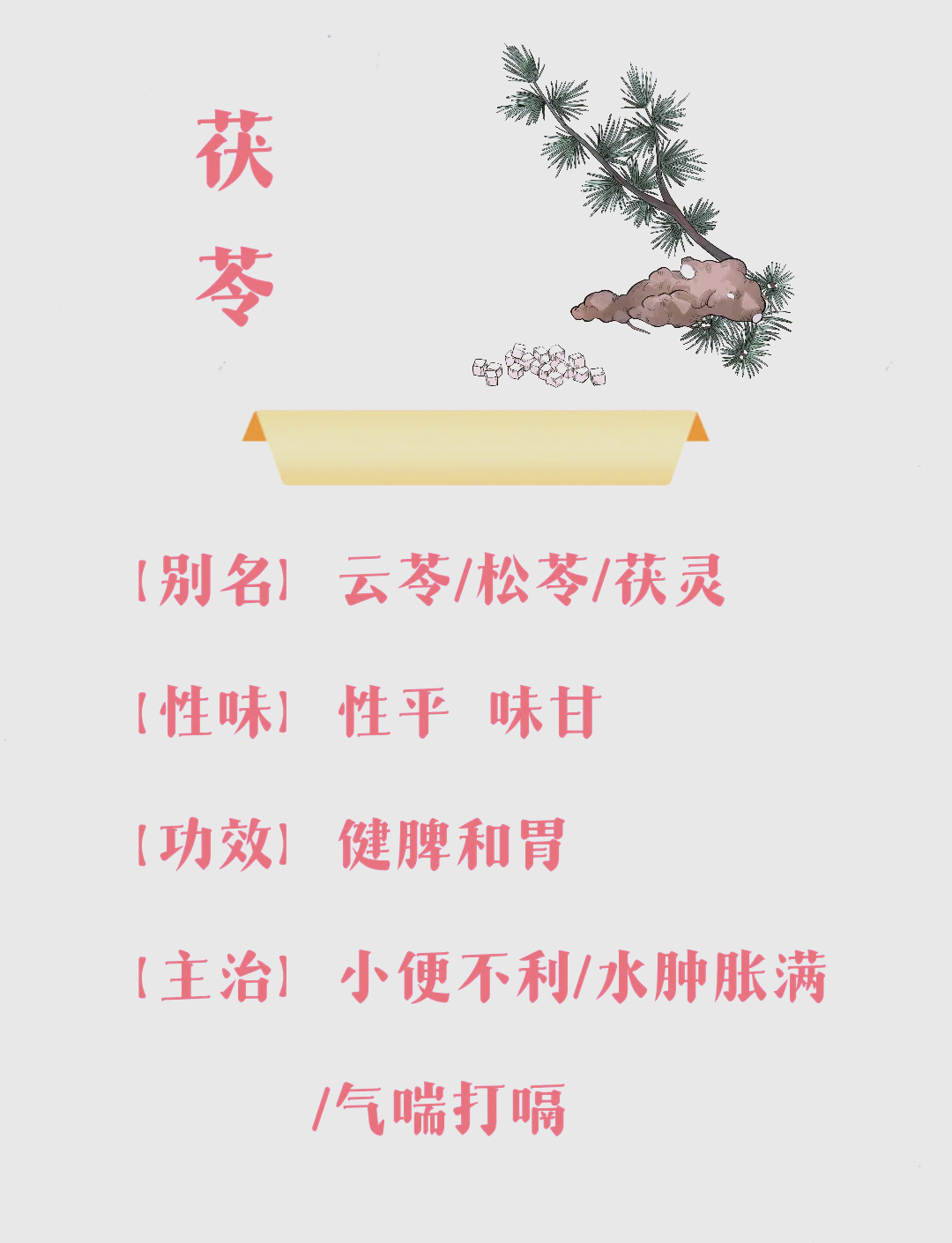 桂枝茯苓汤的组成图片