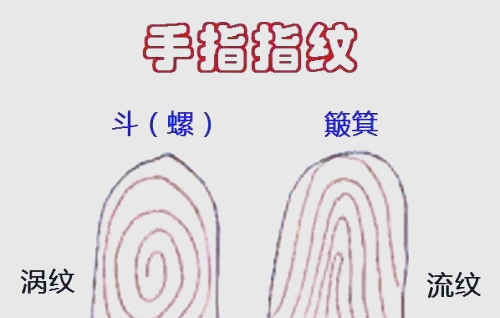 探索手相之谜:螺纹与性格的奥秘�