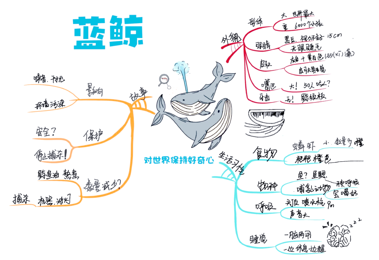 蓝色的海豚岛人物关系图片