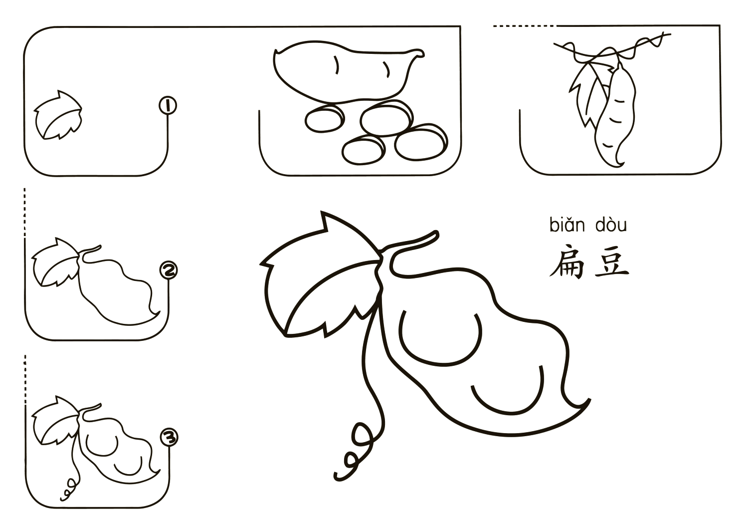 蔬菜简笔画大全 手绘图片