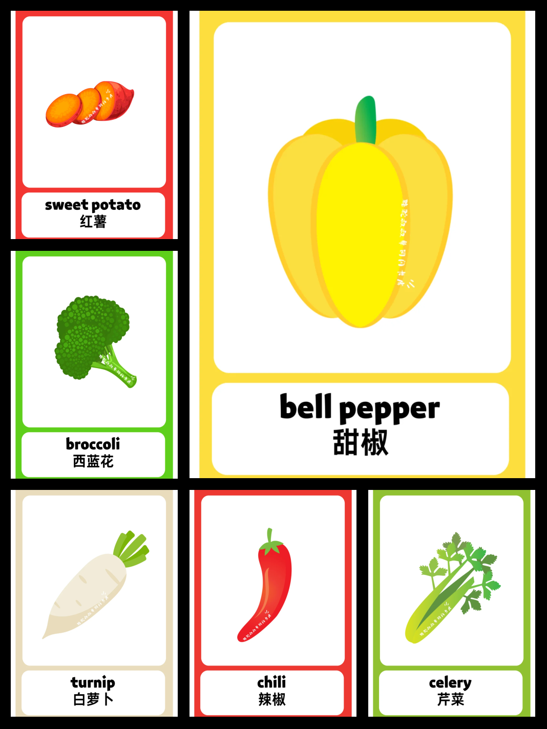 黄瓜  turnip 白萝卜  eggplant 茄子  lettuce 生菜  tomato 西红柿