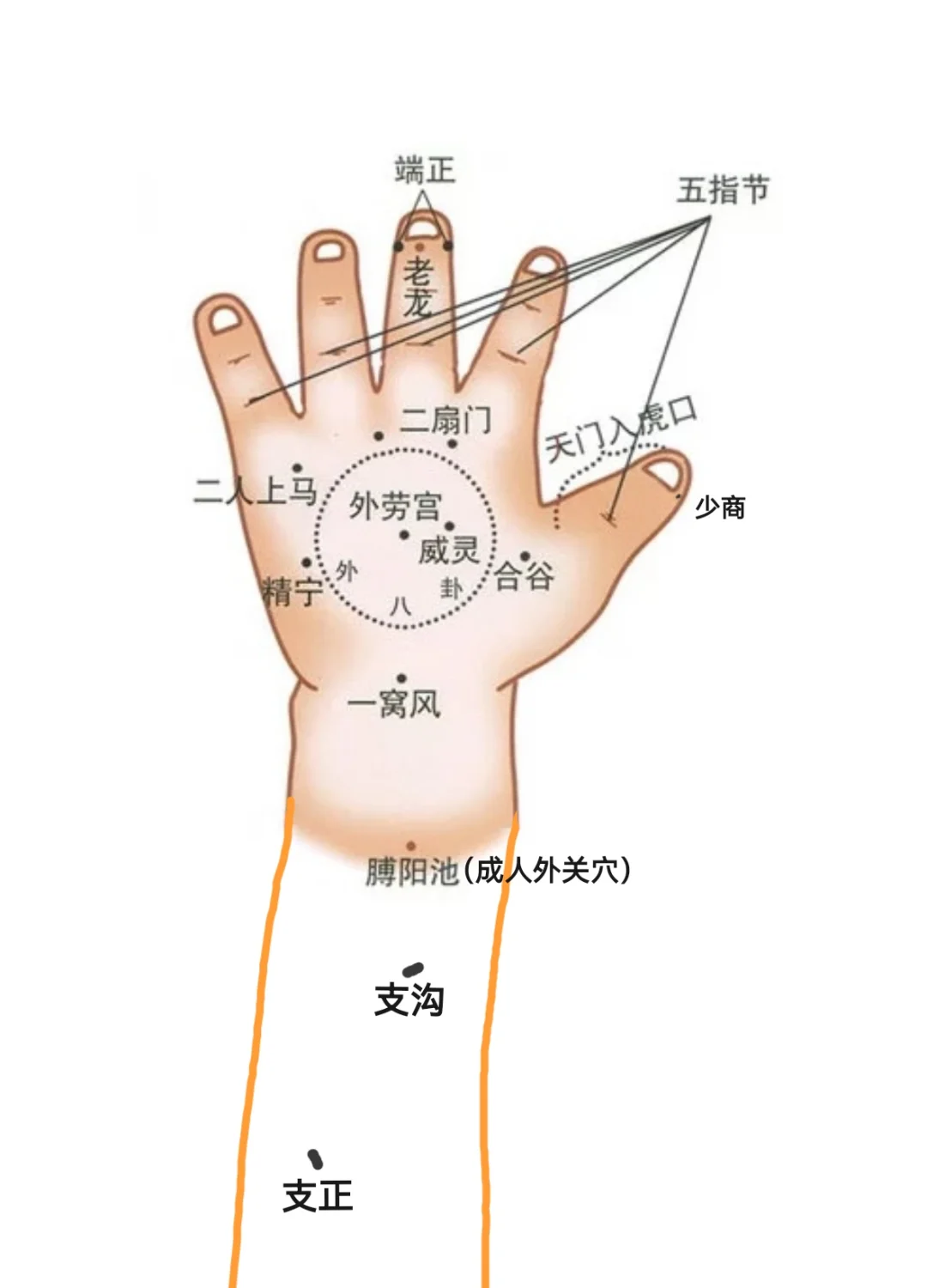 手背按摩手法图片