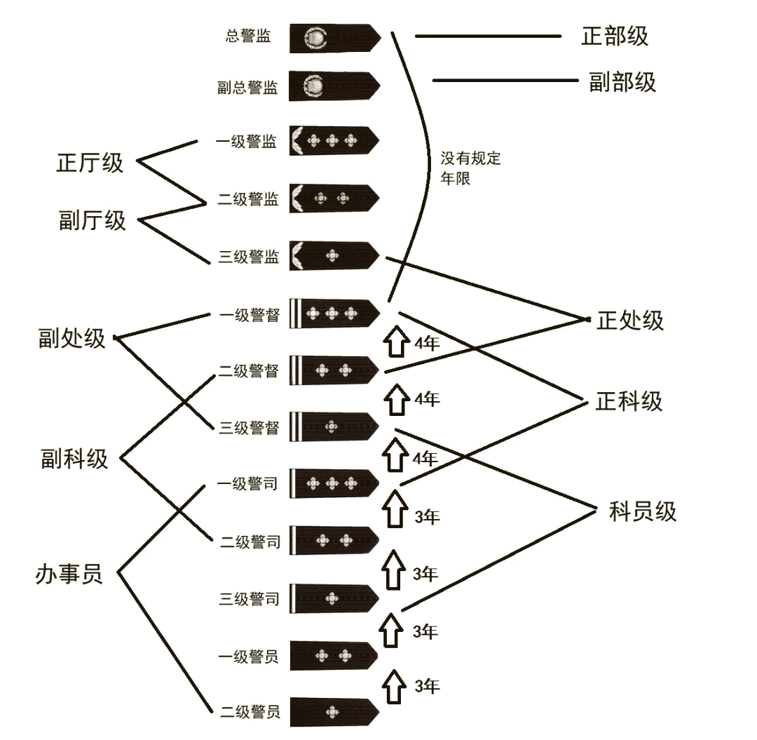 科名星图解图片