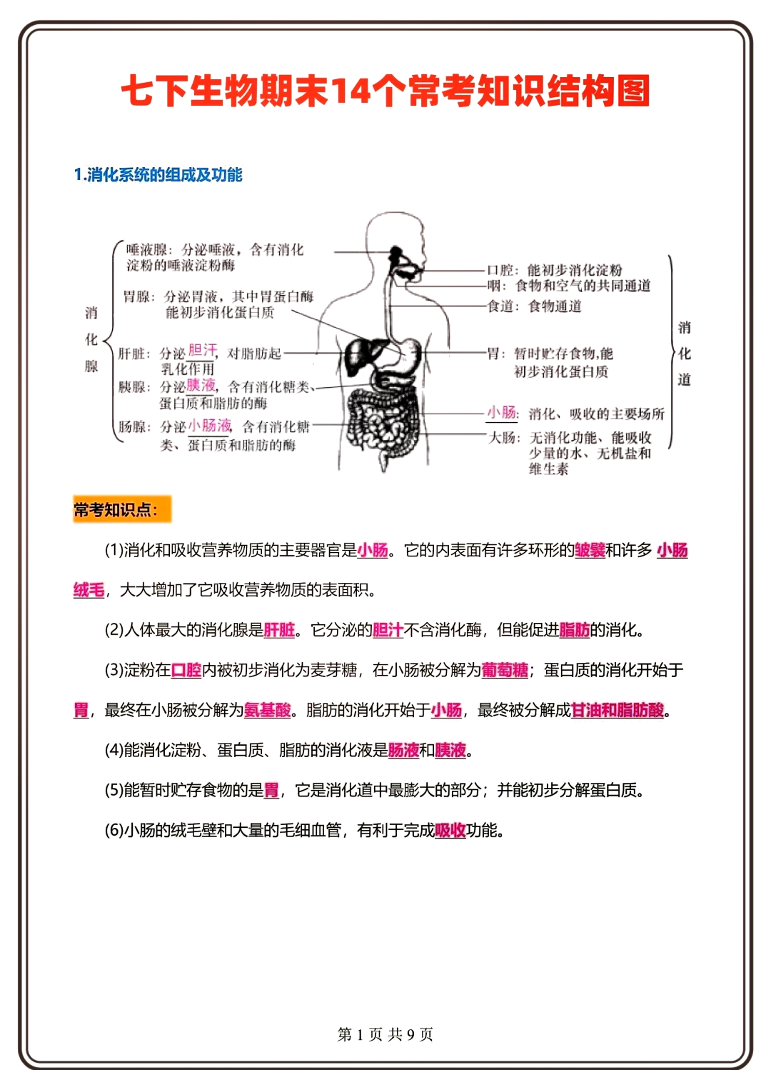 衣藻结构图片