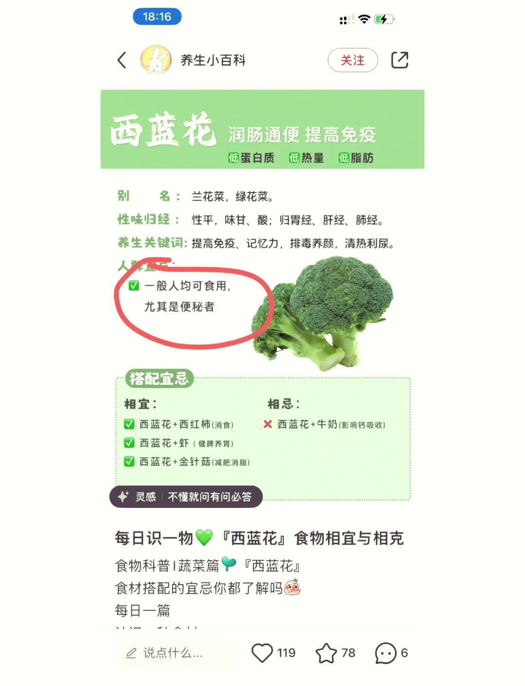 西兰花的功效与作用图片