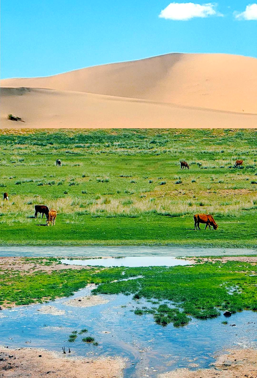 沙漠月亮湖风景区在哪图片