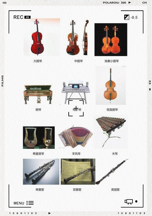 西洋吹管乐器大全图图片