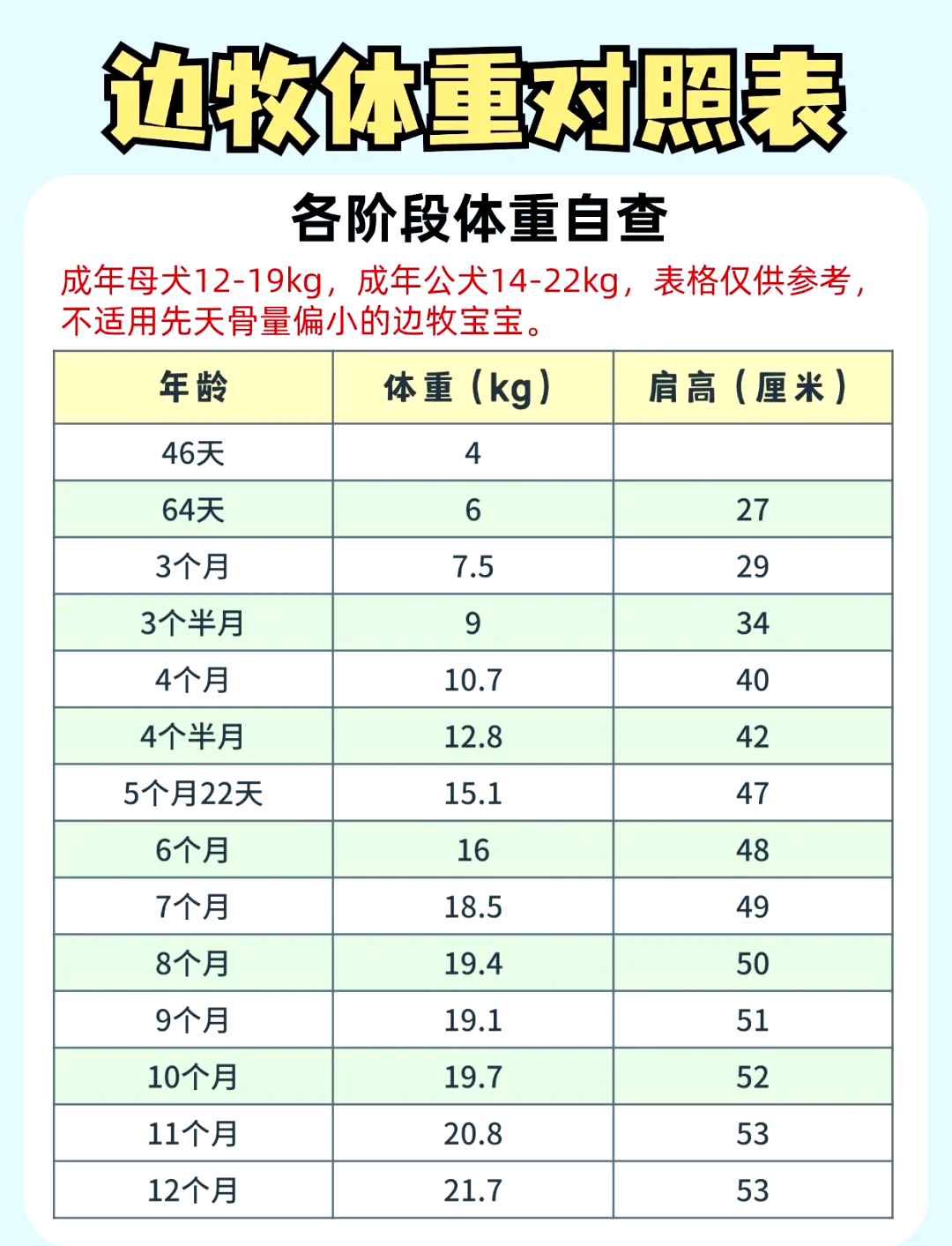 边牧年龄对照表图片