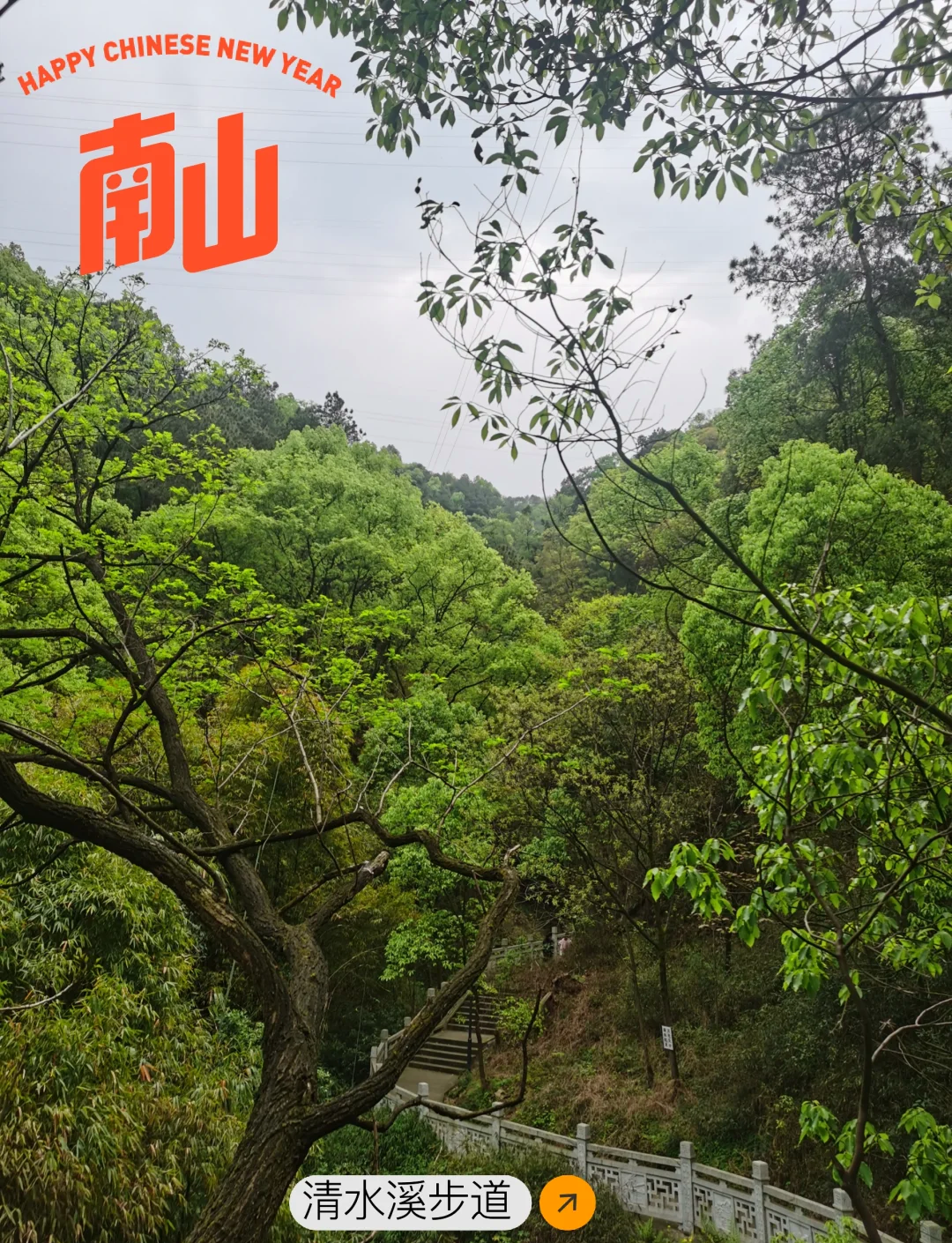 重庆南山一日游图片