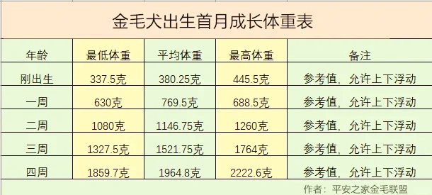 金毛幼犬食量表图片