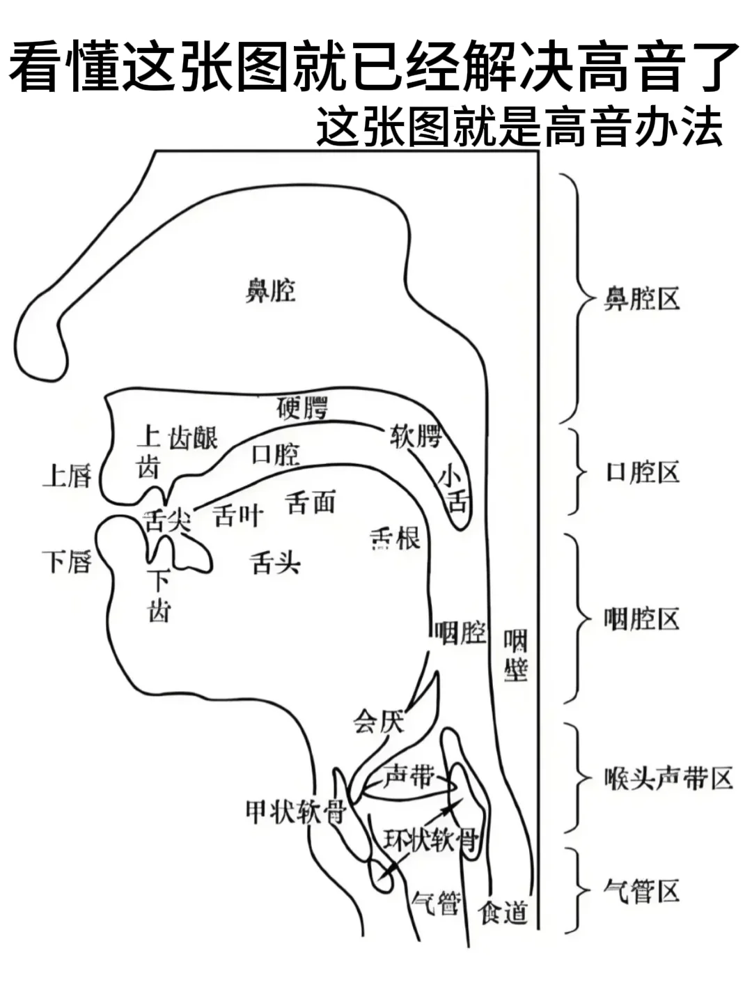 唱歌哪里用力图解图片