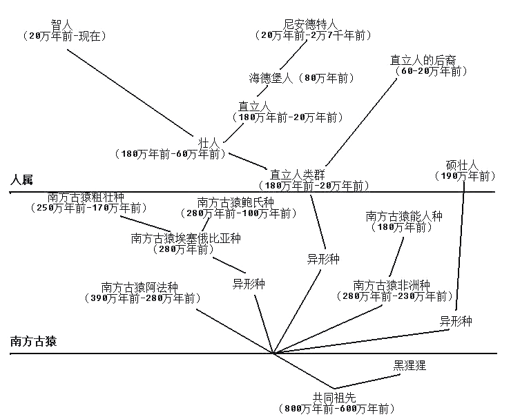 人类人数繁衍图图片